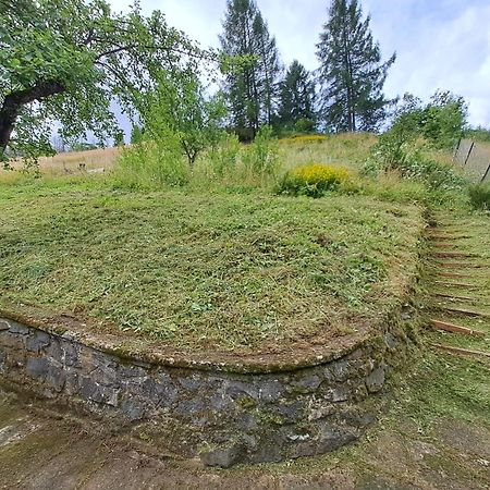 Platell Ferienhaeuser Harz Lerbach Eksteriør billede