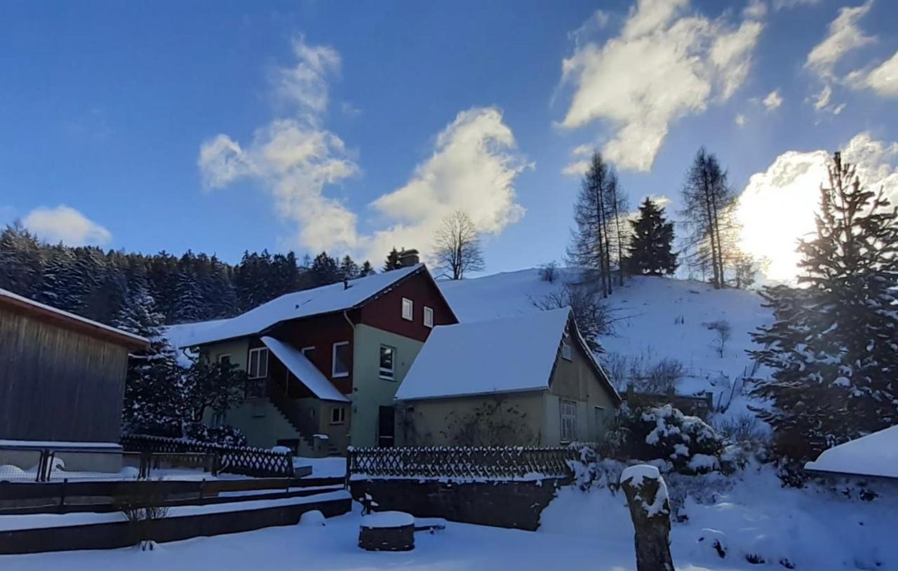 Platell Ferienhaeuser Harz Lerbach Eksteriør billede